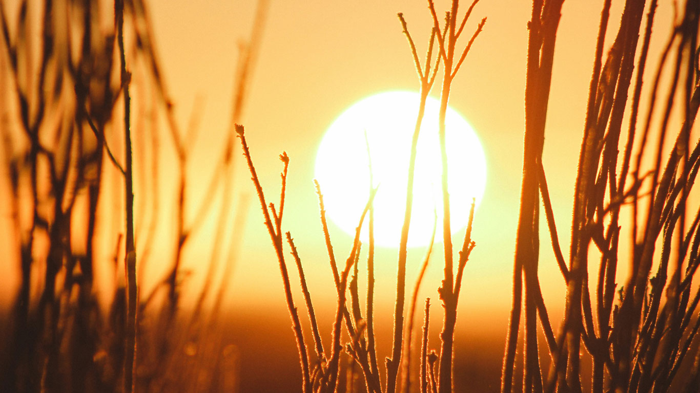 Vitamin D Injections Training Manual