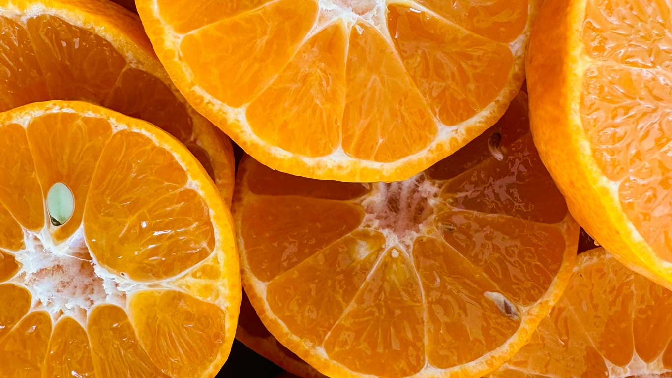 Vitamin C Training -Manual Salon Ladder